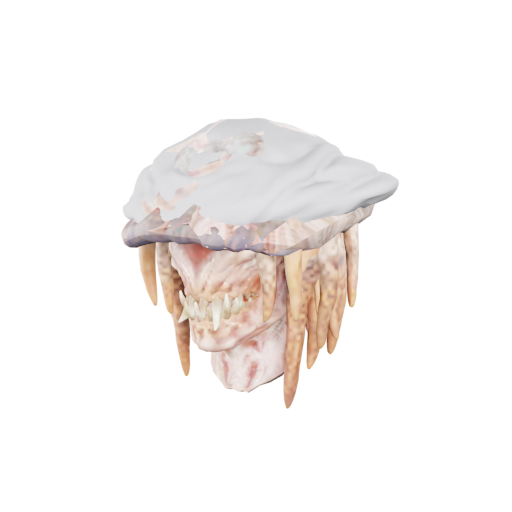 Hitotsume Gasa